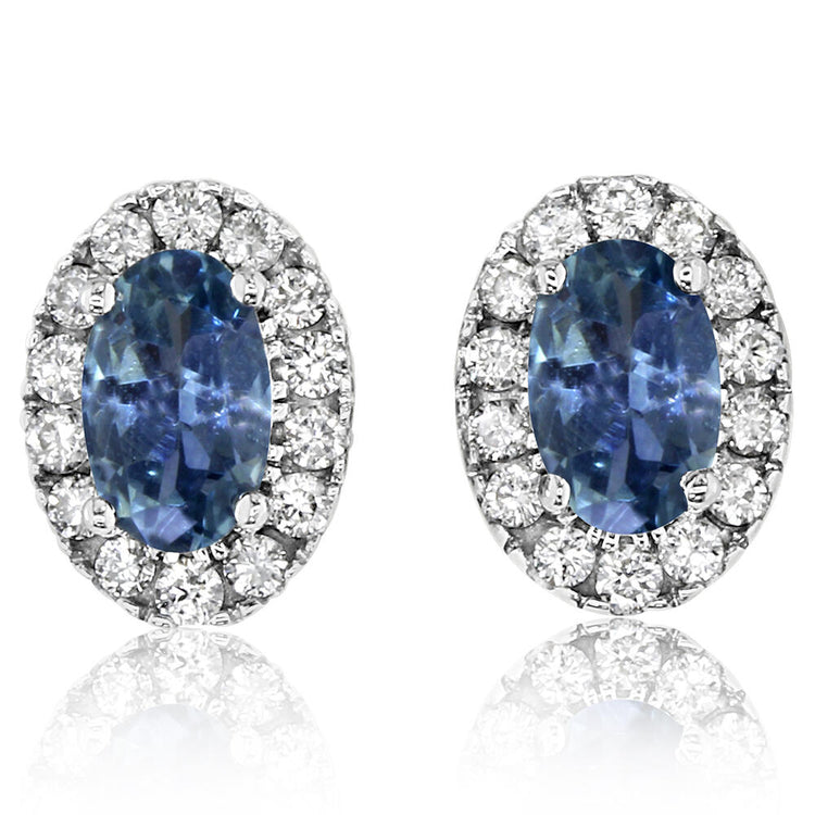 14K White Gold Montana Sapphire/Diamond Earrings