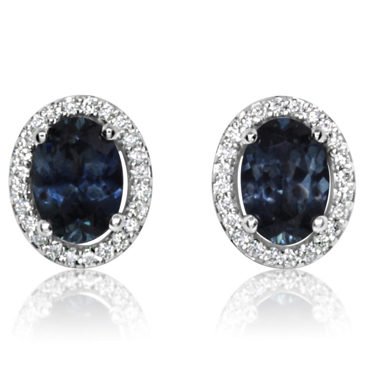 14K White Gold Montana Blue Sapphire/Diamond Earrings