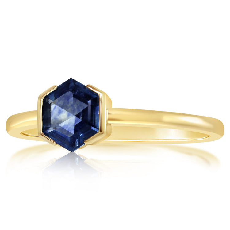 14K Yellow Gold 5mm Hexagon Montana Sapphire Pendant Ring